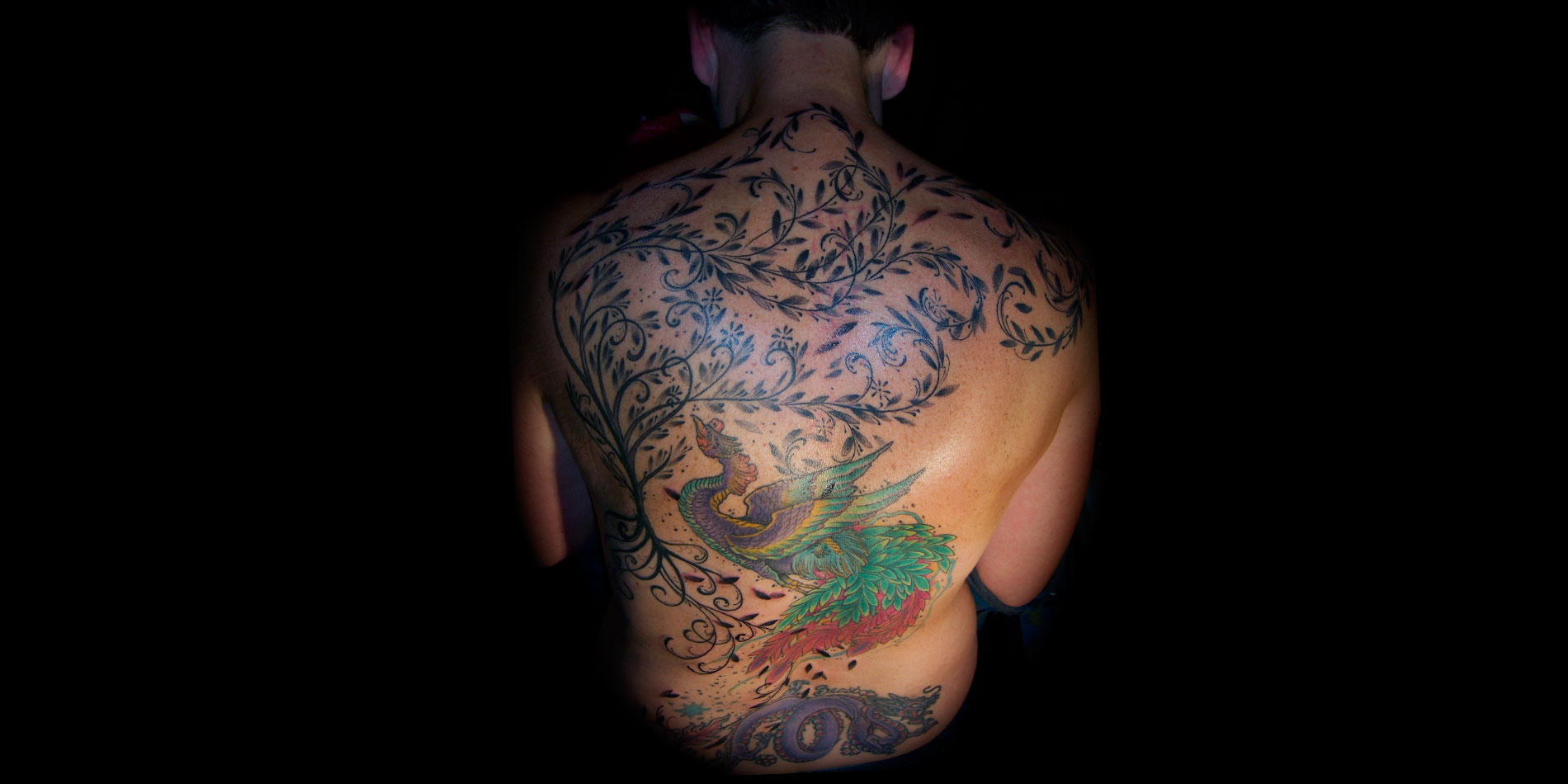 phoenix back tattoo with tree done in chiang mai thialand